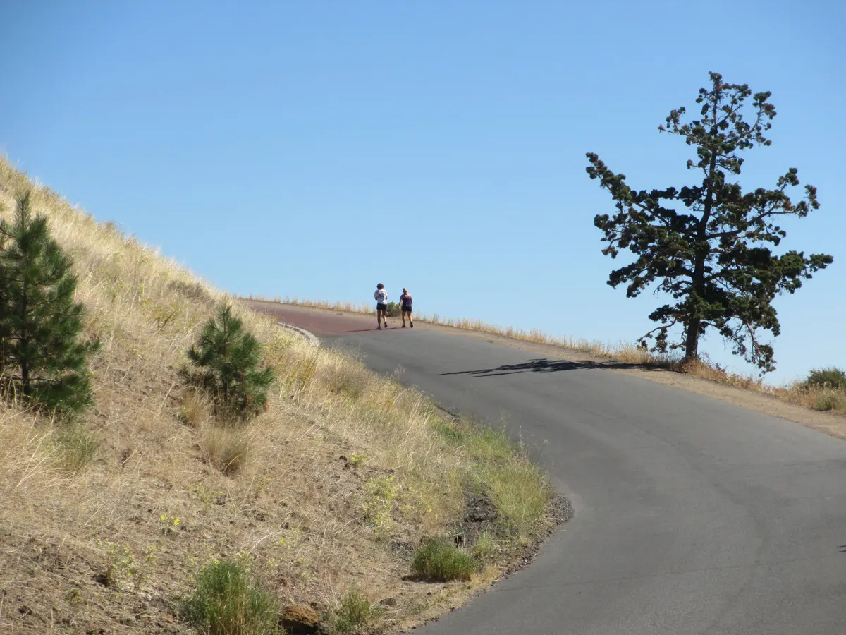 The paved road up Pilot Butte in Bend, with dry bunchgrass, young pines and a ponderosa against a blue sky