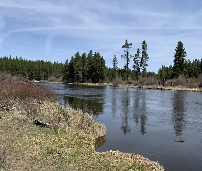 Deschutes River and riverside green space in Bend, Oregon