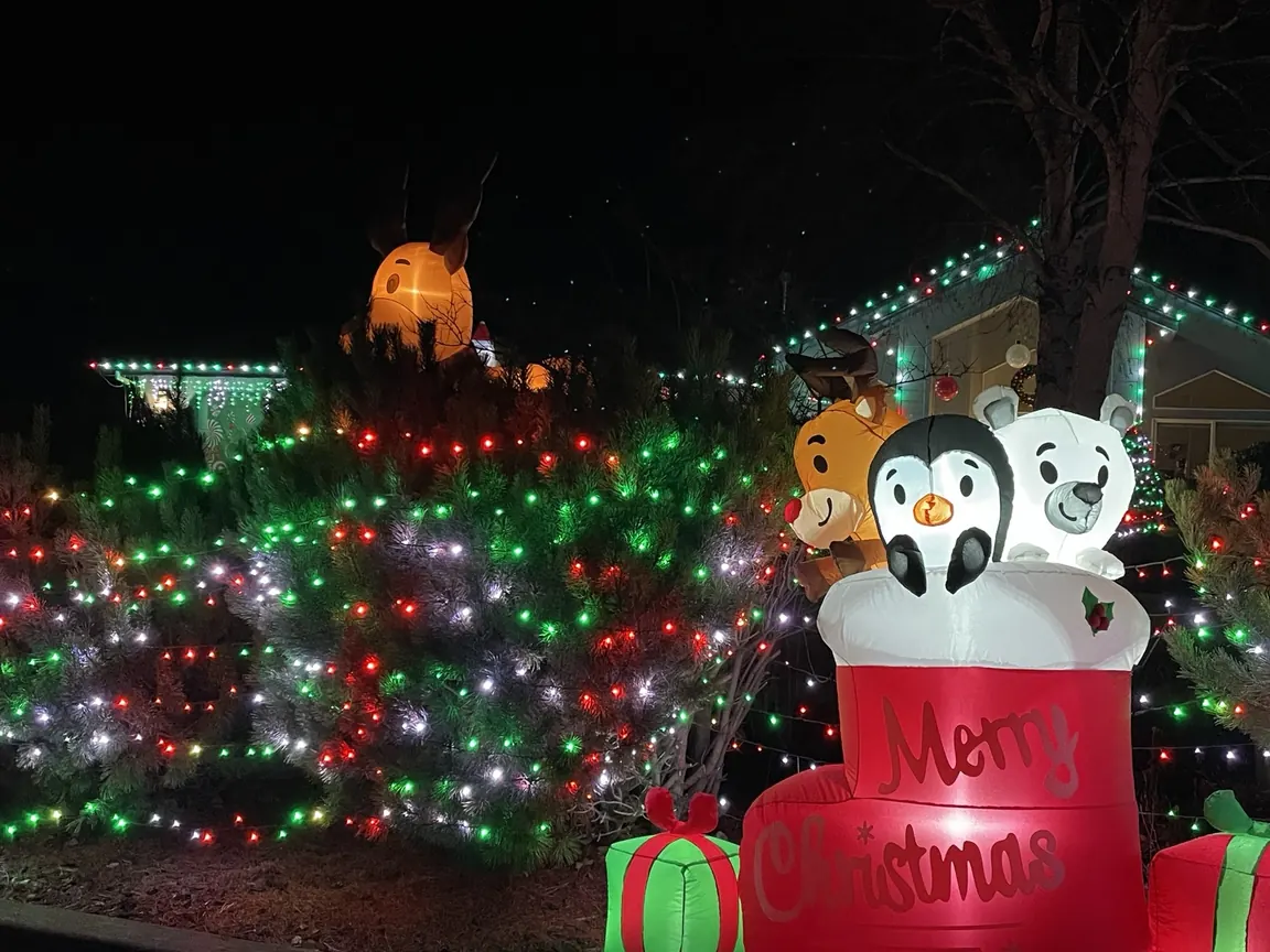 Christmas lights on a Bend neighborhood street
