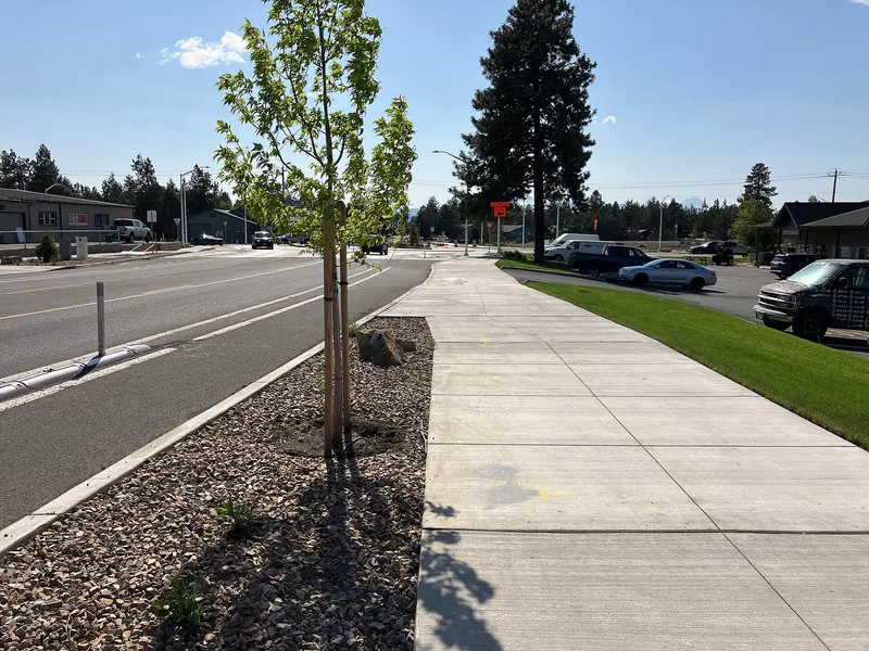 A new concrete sidewalk along a Bend street with young trees, a gravel planting strip and pines in the distance