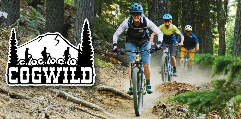 Mountain bikers on a forest trail with Cog Wild