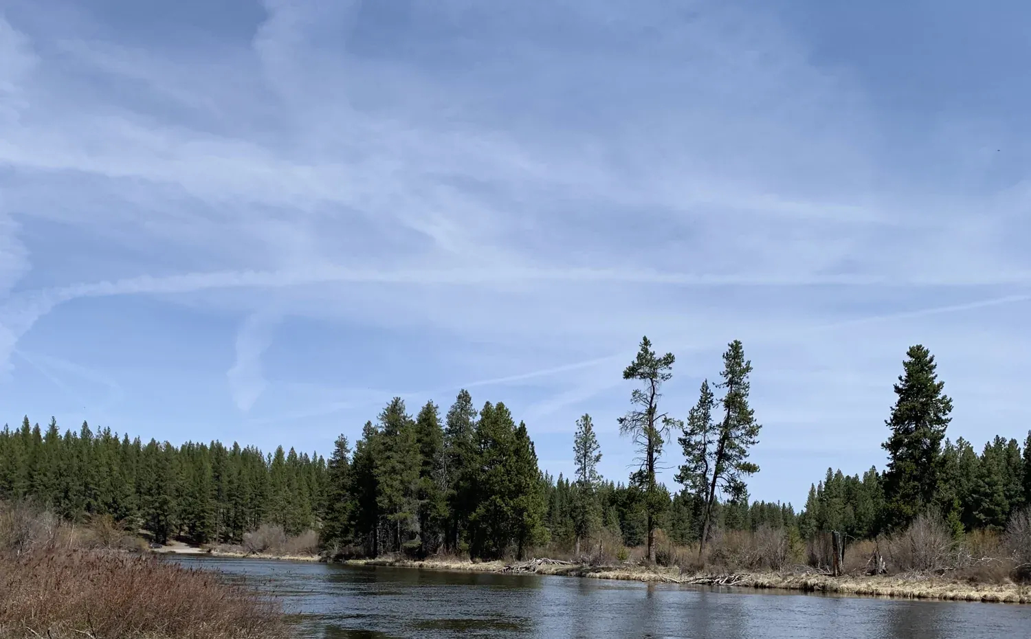 The Deschutes River winding between pines on Bend's west side