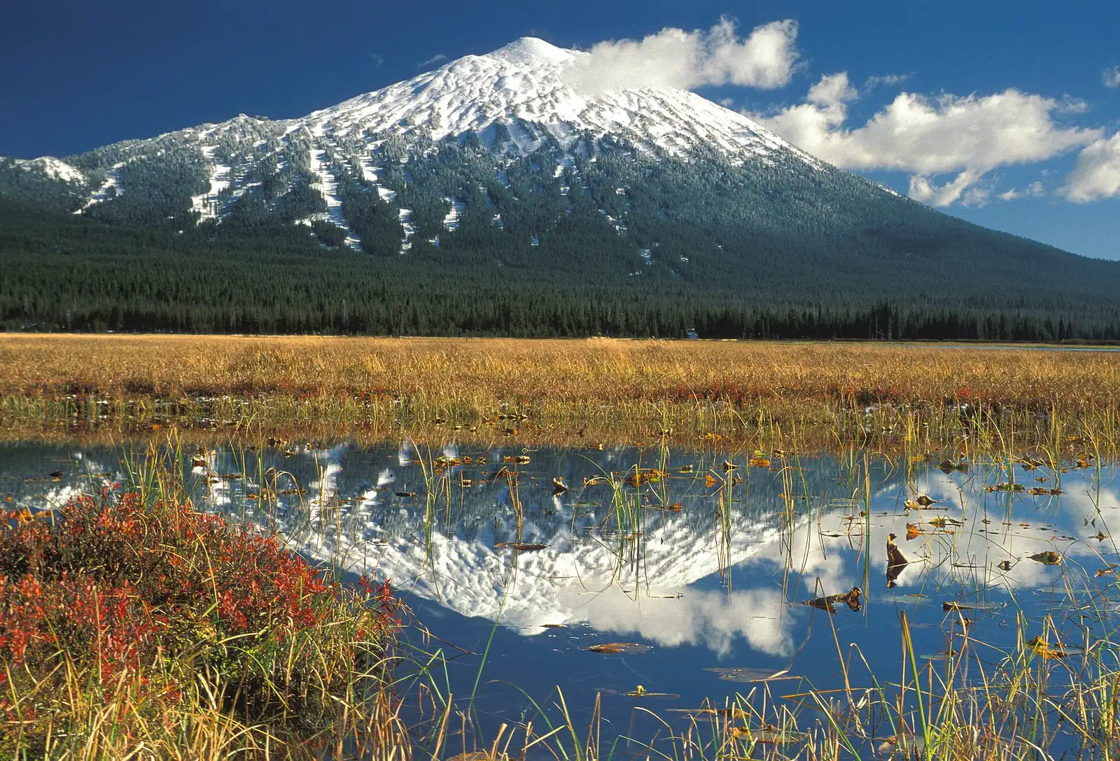 Snow-dusted Mount Bachelor under a clear blue sky, reflected in Sparks Lake west of Bend