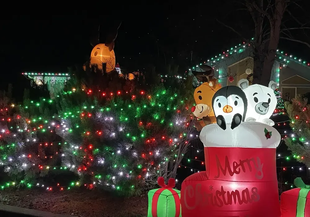 Pine shrubs wrapped in red, green and white mini lights with a lit inflatable stocking in a Bend front yard at night
