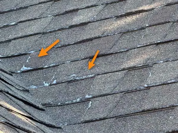 Weathered asphalt shingles with granule loss and lifting edges