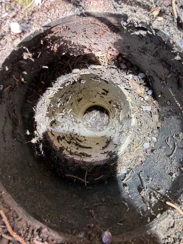 Underground water shutoff box filled with dirt and landscape debris