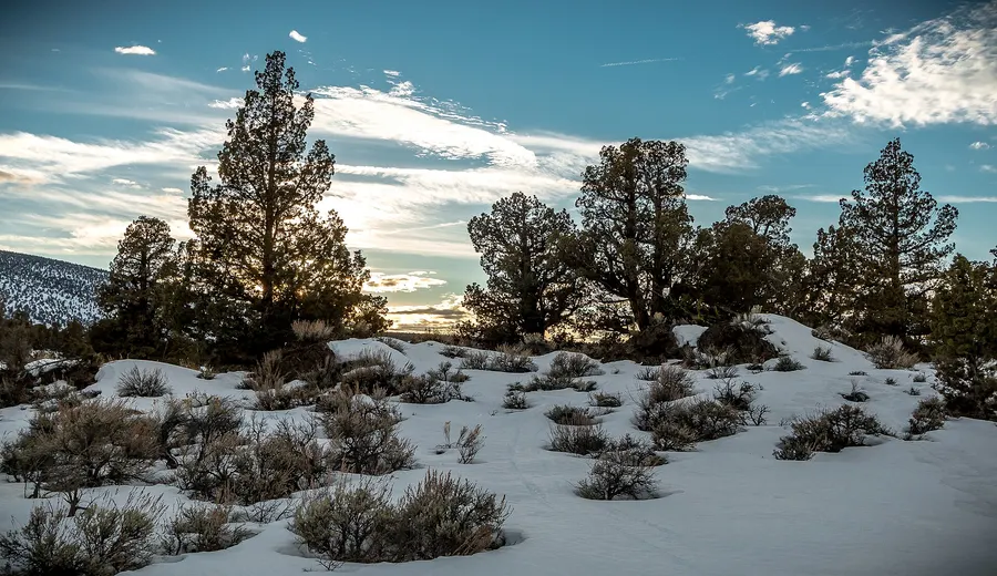 Snow between sagebrush and western junipers under a big sky in the Oregon Badlands Wilderness east of Bend