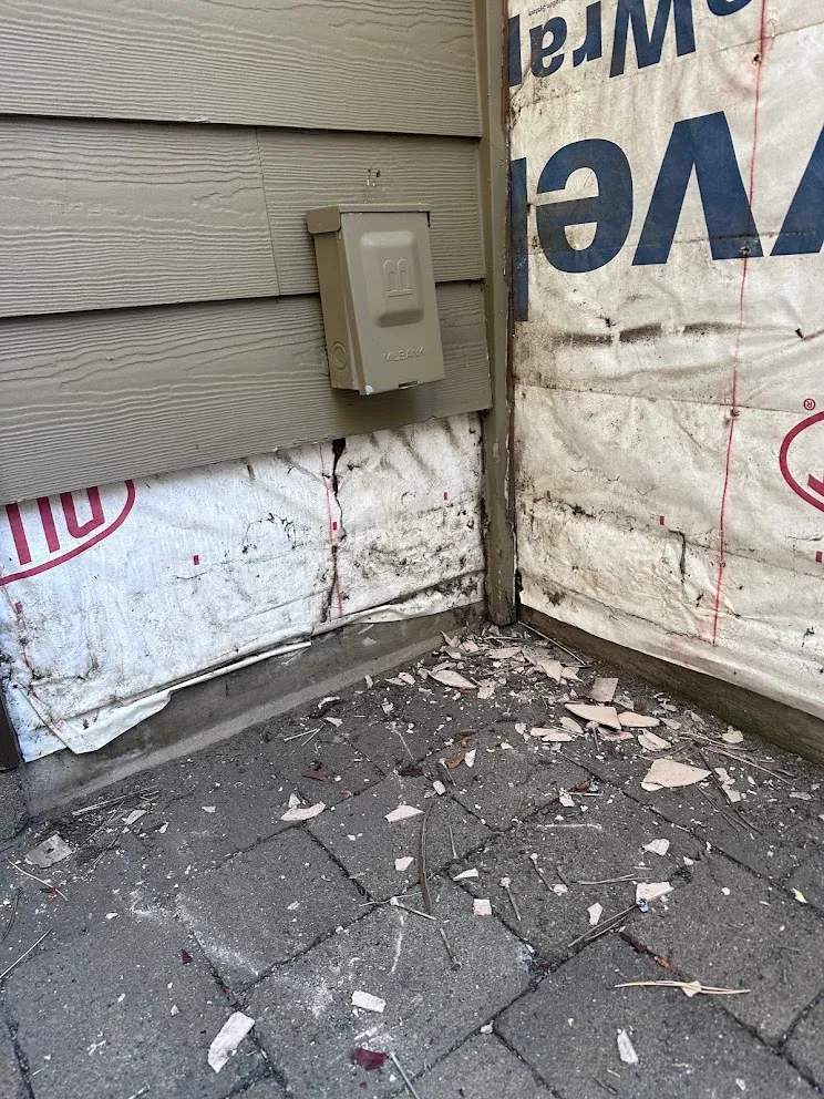 Bottom of an exterior wall with siding removed, showing torn and dirt-stained house wrap where the wall meets the patio pavers