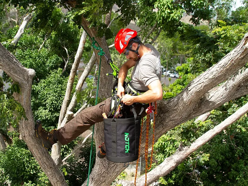 An arborist in a red helmet rope-climbing in a tree canopy with a gear bag