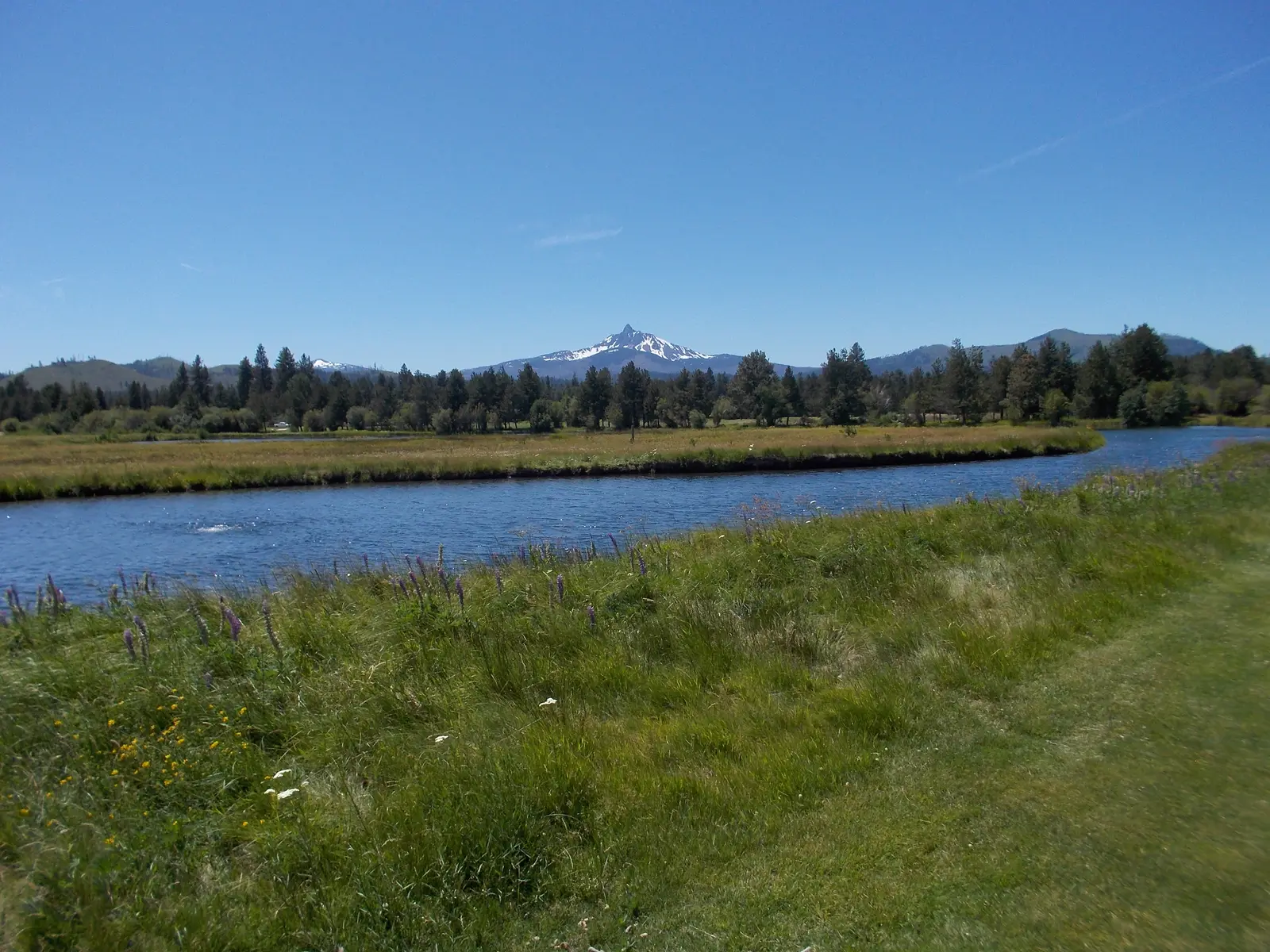 Black Butte Ranch meadow with Mt. Jefferson