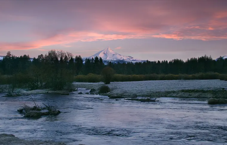 Mt. Jefferson glowing at sunrise above the Metolius River meadows