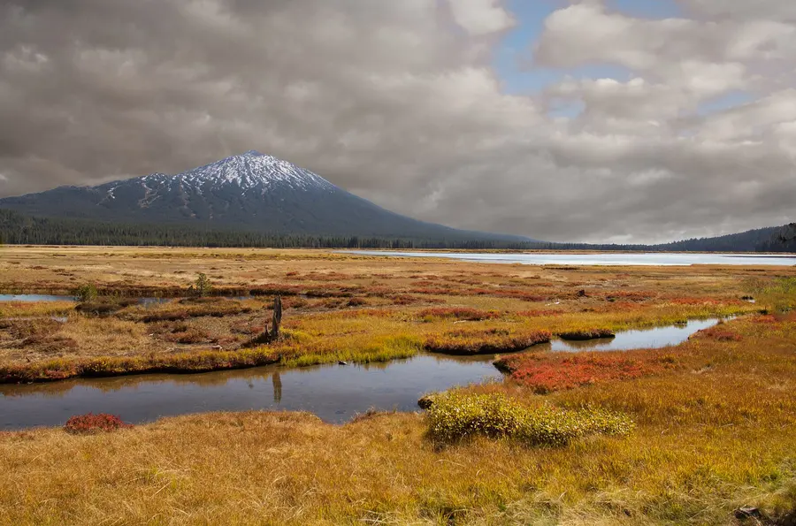 Orange and red fall grasses in the Sparks Lake meadow below Mt. Bachelor
