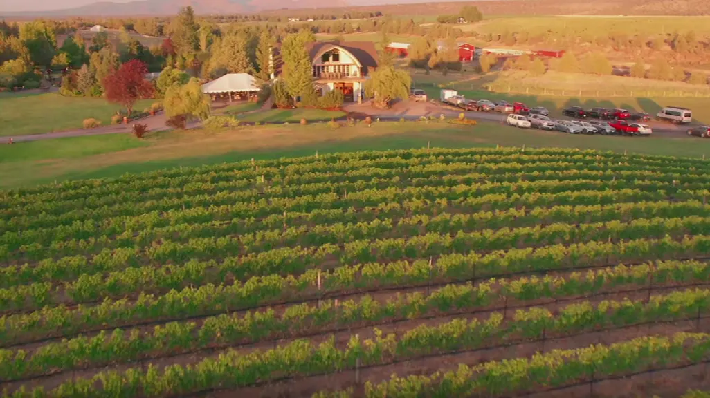 Aerial view of vineyard rows at Faith Hope & Charity Vineyards in Terrebonne, Oregon