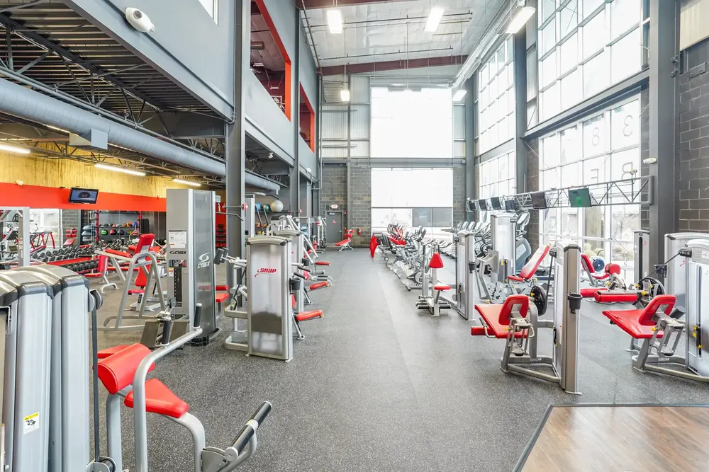 Strength machines under tall windows at Snap Fitness Northeast