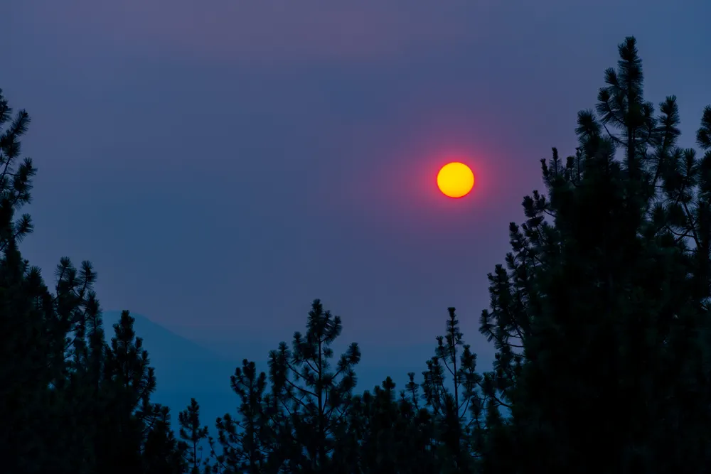 A red sun through wildfire smoke behind ponderosa pines on Awbrey Butte
