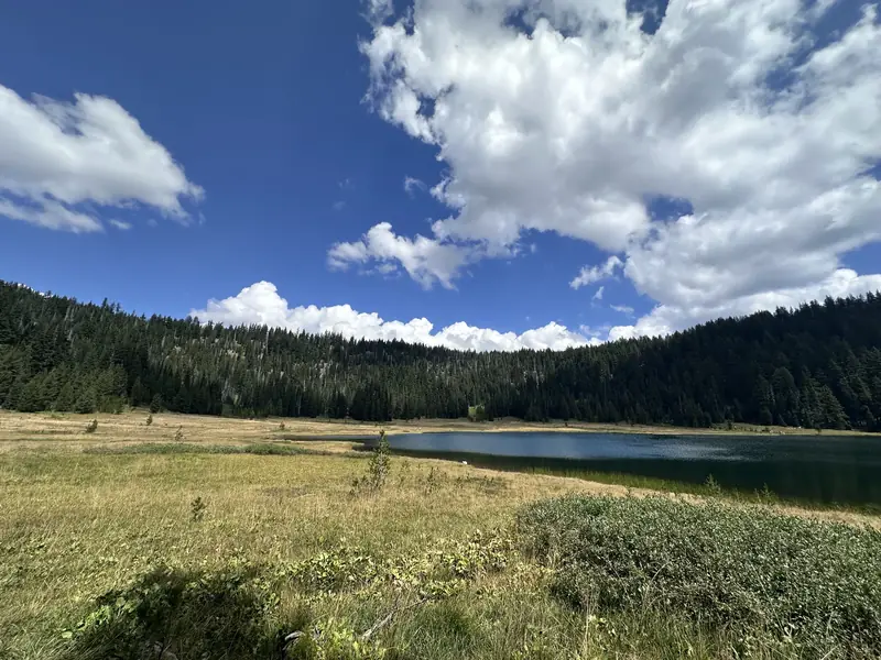 A mountain lake and meadow in the Cascades west of Bend