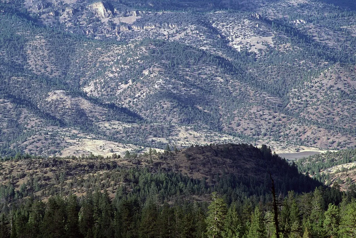 Ochoco National Forest, Oregon