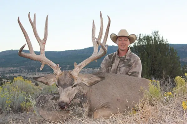 A hunter with a mule deer buck in juniper country