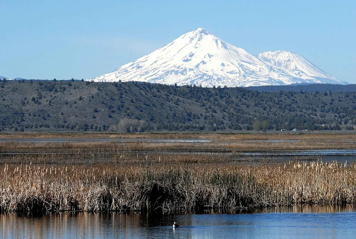 Wetlands at Lower Klamath National Wildlife Refuge