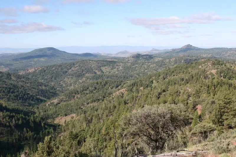 Timbered ridges and meadows in Ochoco country northeast of Prineville