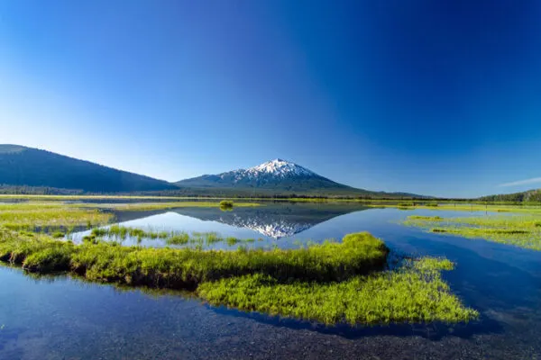 Mt. Bachelor above a Central Oregon meadow