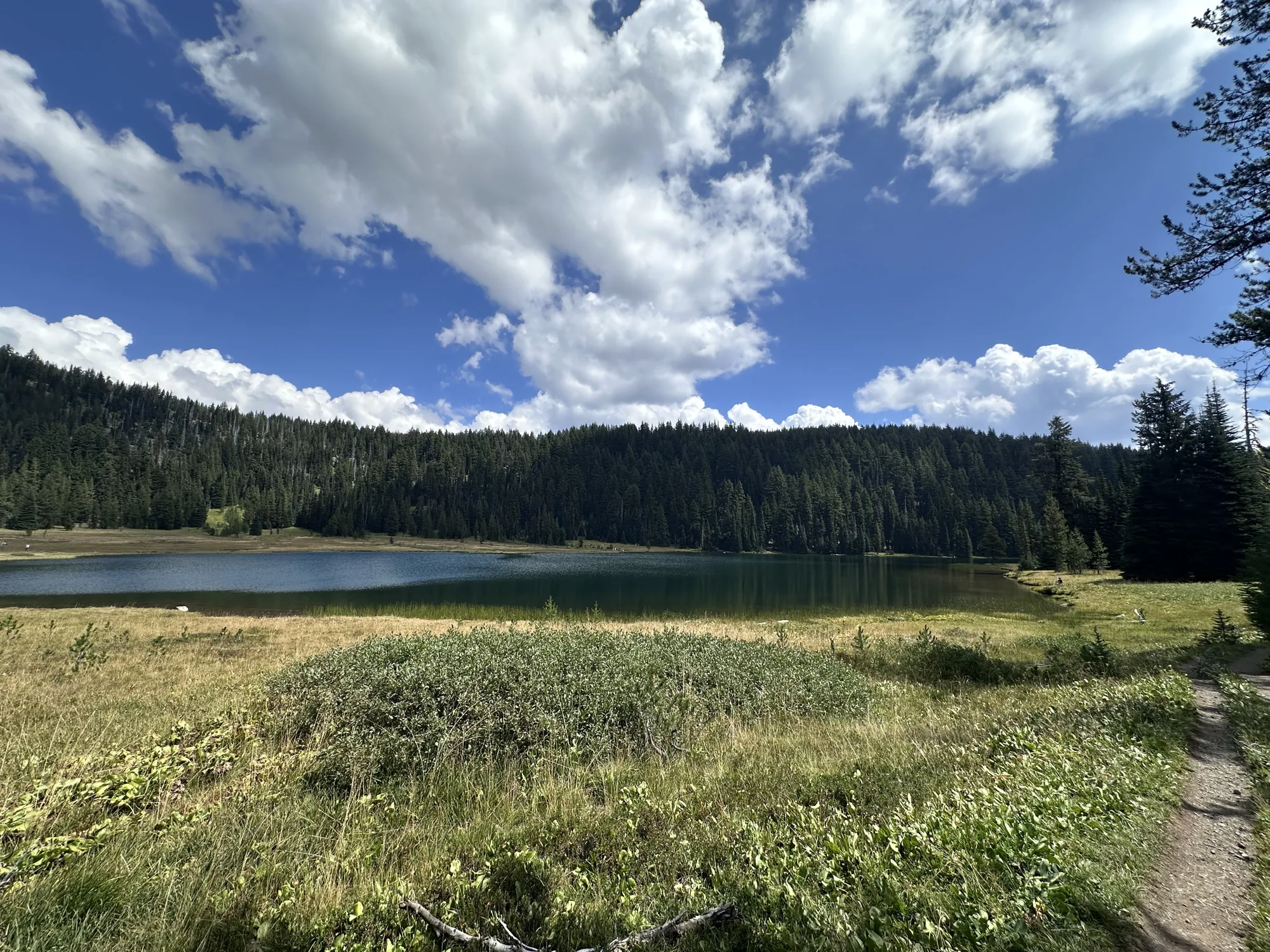 Suttle Lake style mountain lake surrounded by forest