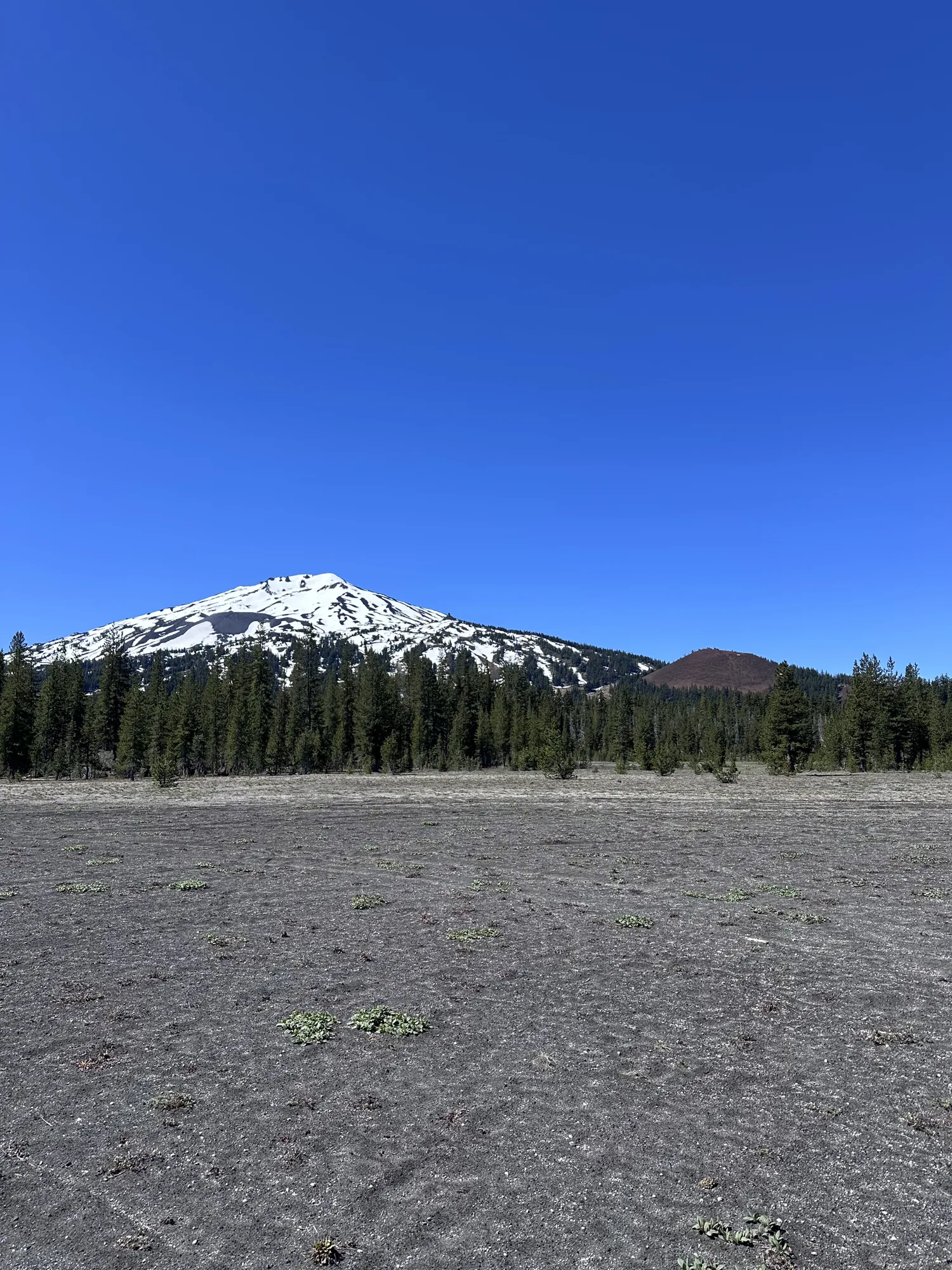 Snow-covered Mount Bachelor above a pine forest west of Bend, Oregon