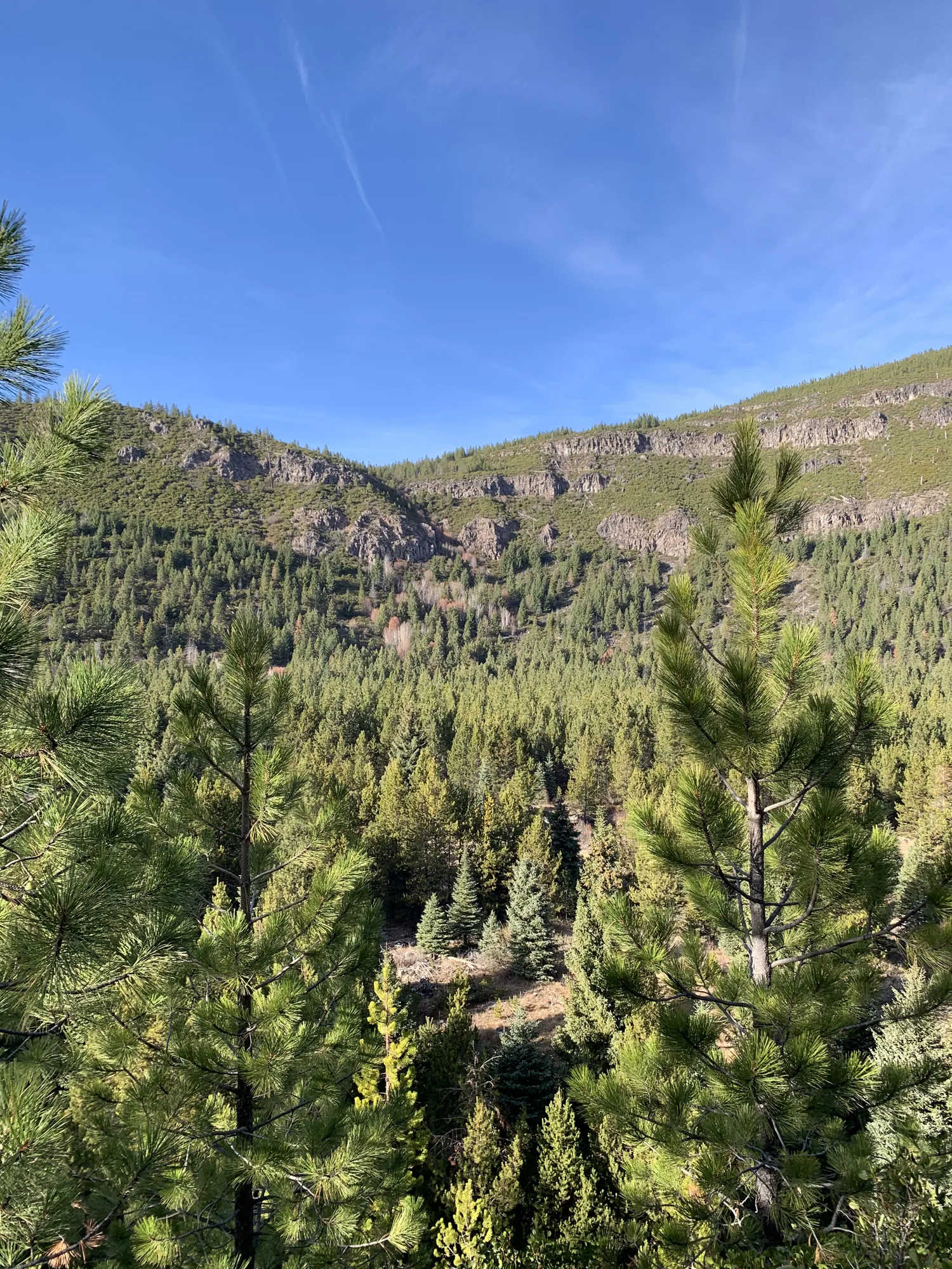 Cascade mountain scenery near Sisters, Oregon