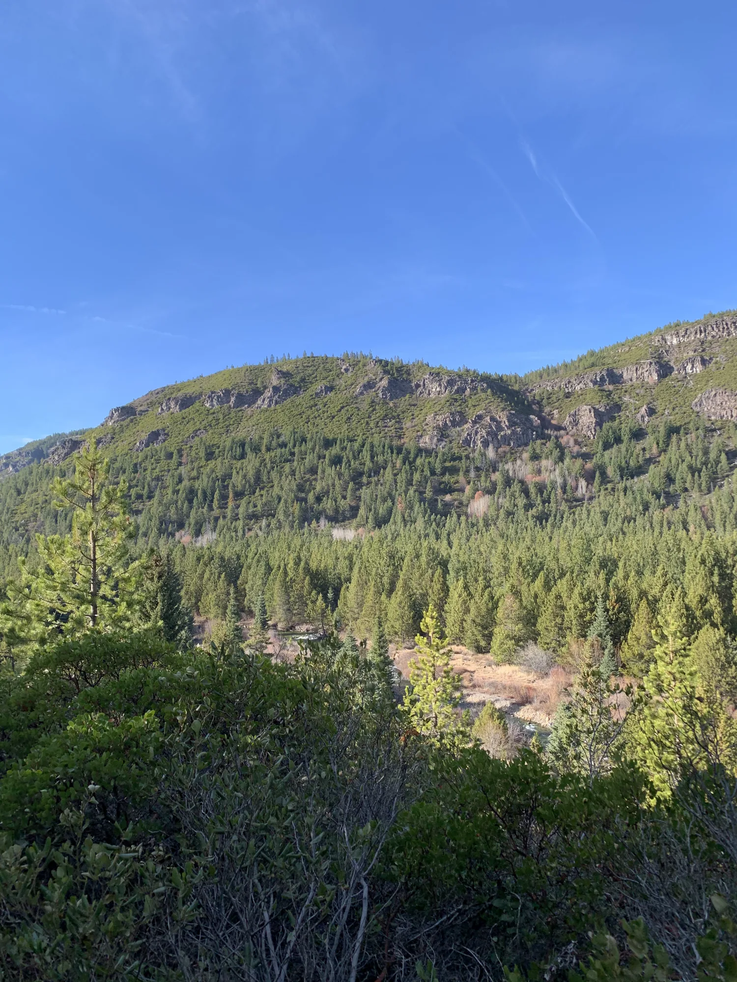 Smith Rock style high desert cliffs and trail scenery in Central Oregon