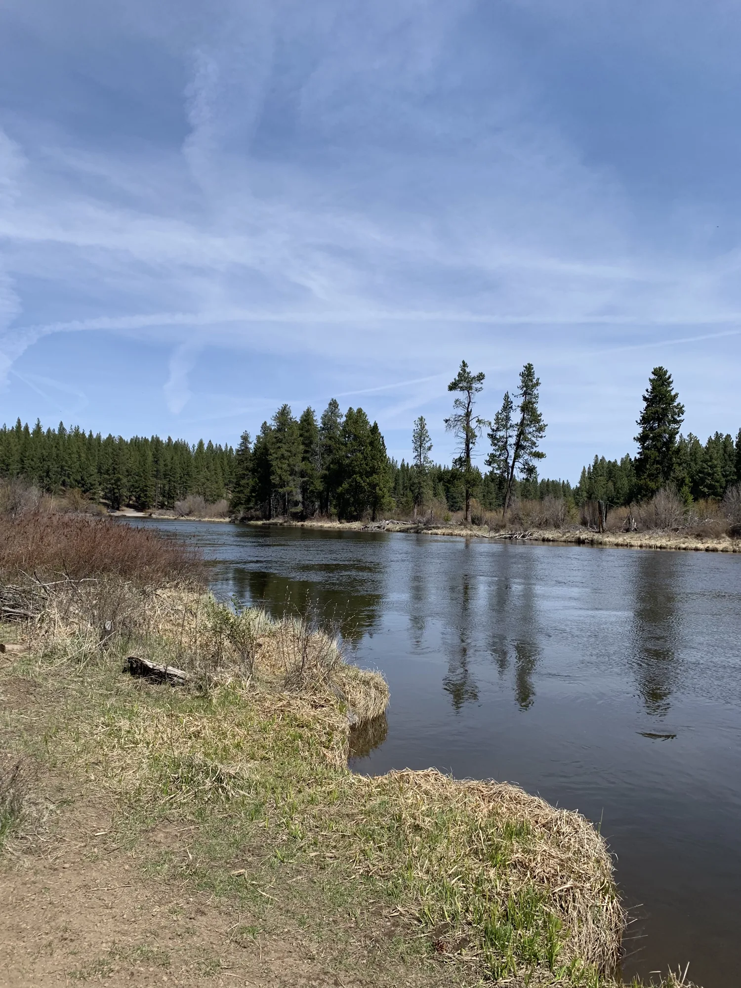 Deschutes River and green space near Tumalo, Oregon