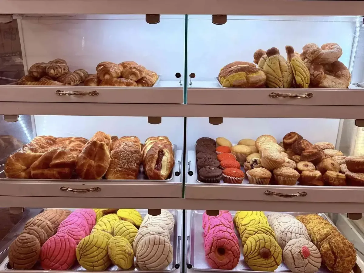 A bakery case full of pink, yellow and chocolate conchas and pan dulce at El Moy in Bend