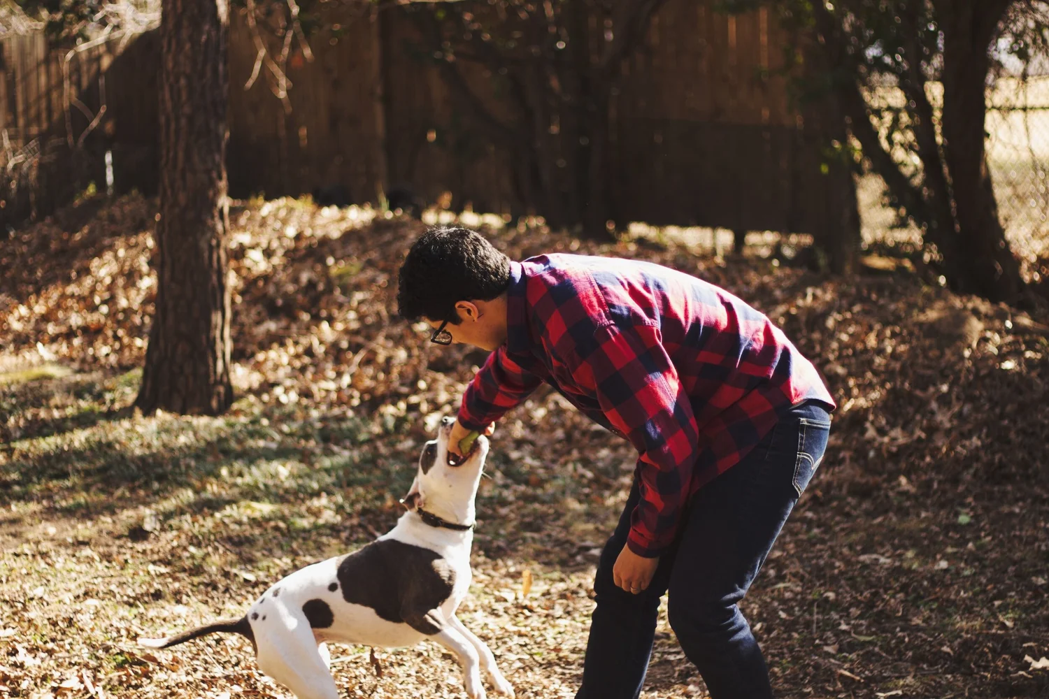 Pet-Friendly Bend: A Guide for You and Your Furry Friends