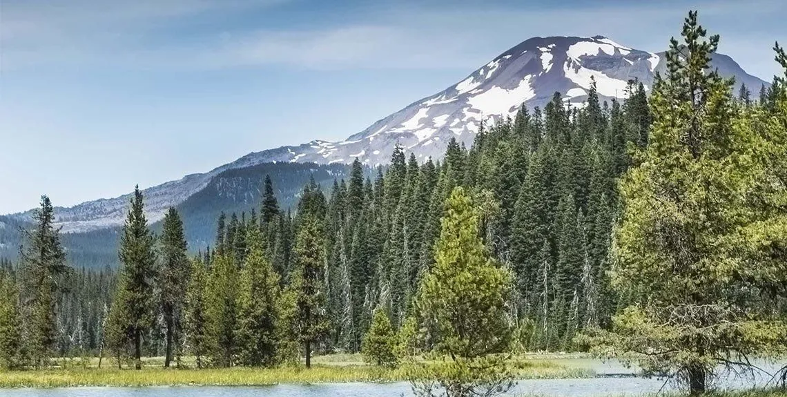 Mt. Bachelor above a pine forest, from Bend Property Management