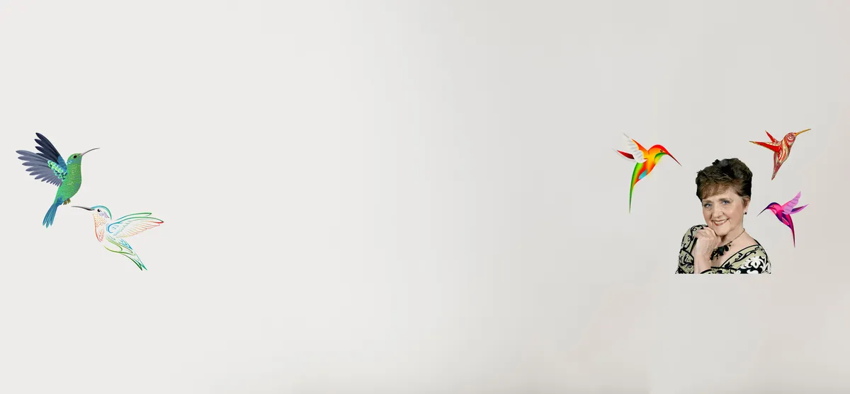 Hummingbird Property Management banner