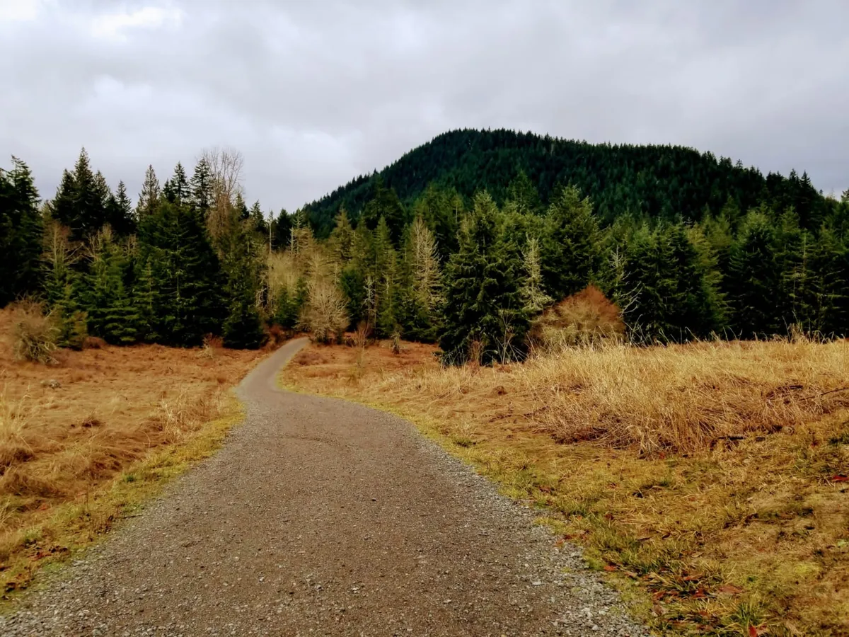A trail through pines near Sisters, from Ponderosa Properties