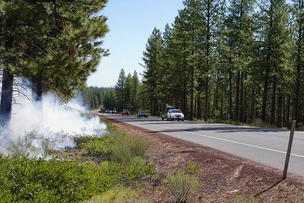 Smoke drifting through ponderosa pines beside a road west of Bend