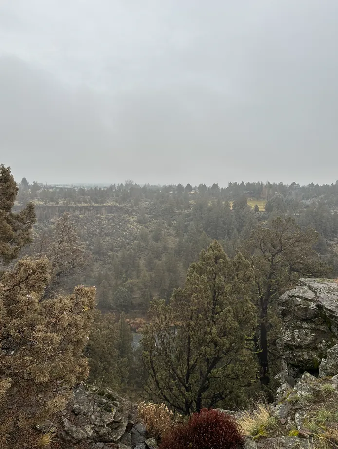 Junipers and rocky canyon landscape on an overcast day near Redmond