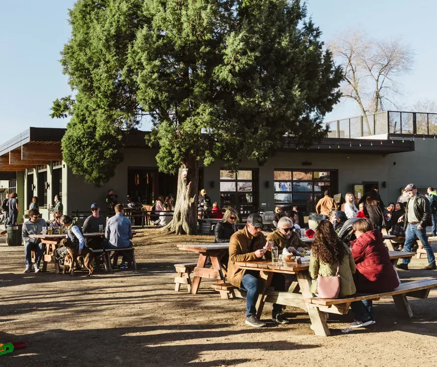 Picnic tables under a big tree on the lawn at Crux Fermentation Project in Bend