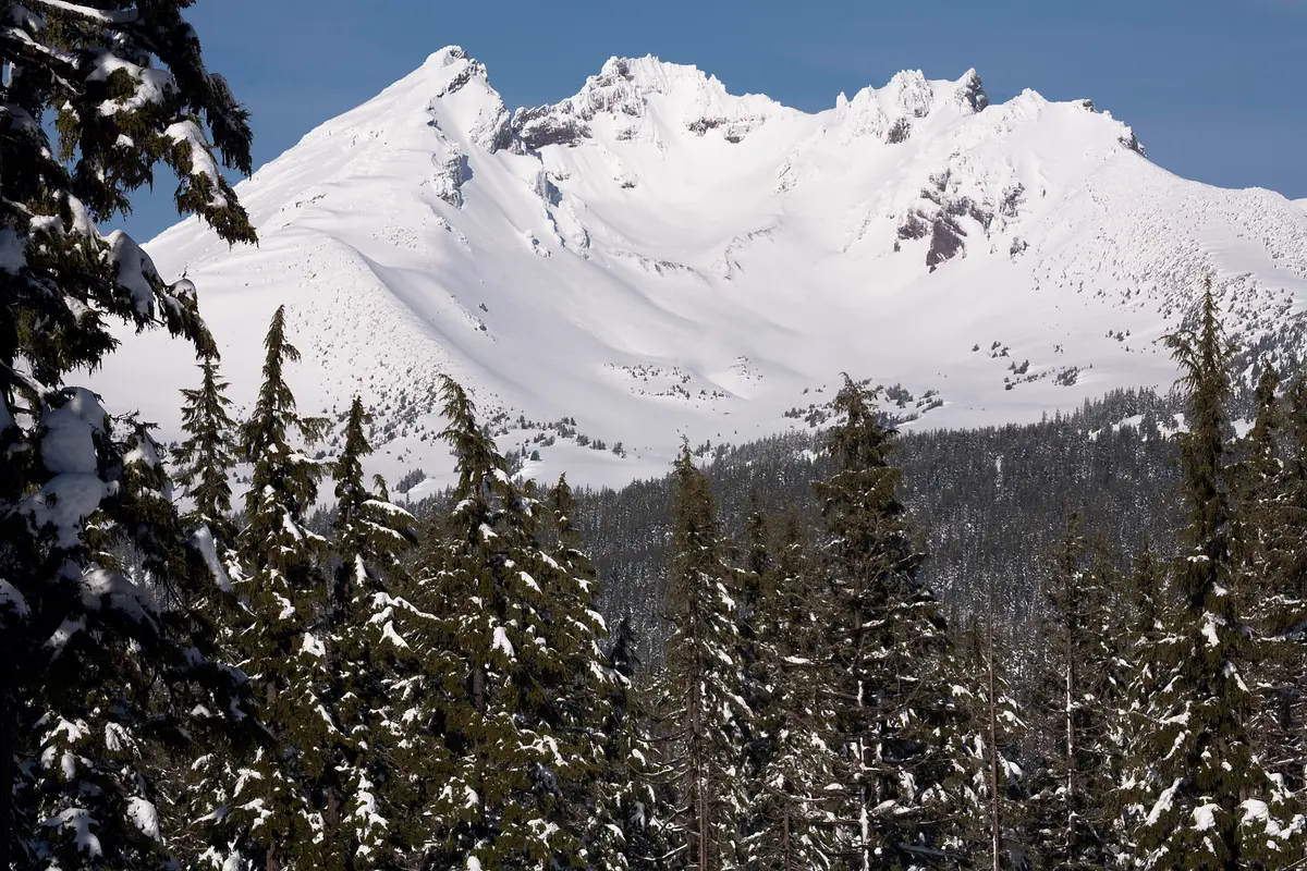 Broken Top covered in snow above a snowy fir forest west of Bend