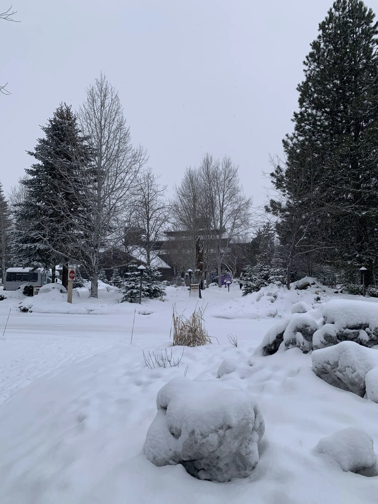 Actual Sunriver, Oregon scenery