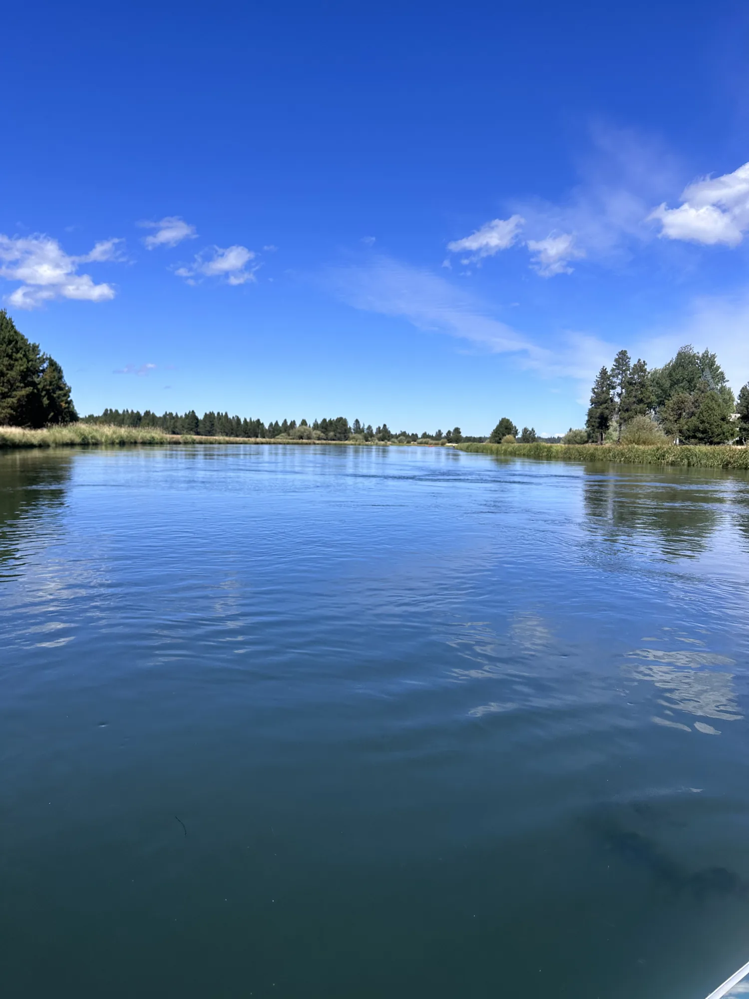 Sunriver, Oregon surrounded by Central Oregon pines